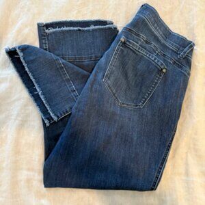 Democracy "Ab"solution Plus Size Fray Hem Kick Flare Jean